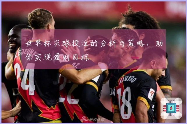 世界杯买球投注的分析与策略，助你实现盈利目标