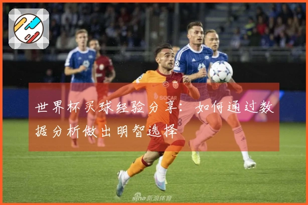 世界杯买球经验分享：如何通过数据分析做出明智选择