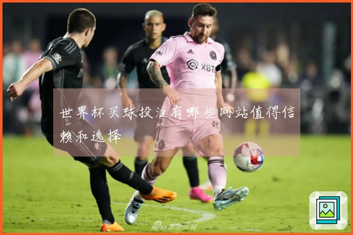 世界杯买球投注有哪些网站值得信赖和选择