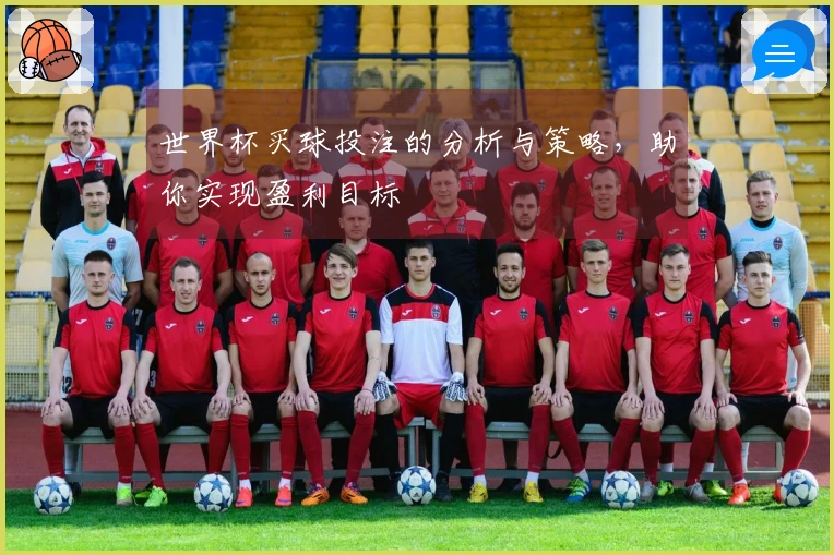 世界杯买球投注的分析与策略，助你实现盈利目标