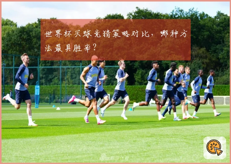 世界杯买球竞猜策略对比，哪种方法最具胜率？